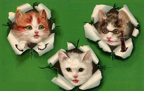 kittens popping through a green background antique postcard