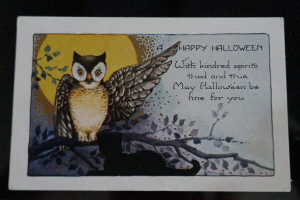 An Owl pointing to a Halloween message antique postcard