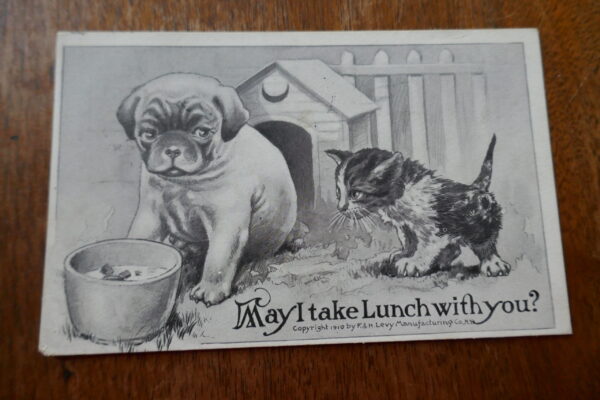 Cute Black and White card with a puppy by his dish of food and a cat asking to share lunch