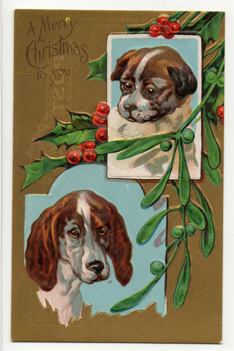 Christmas postcard with dogs and holly