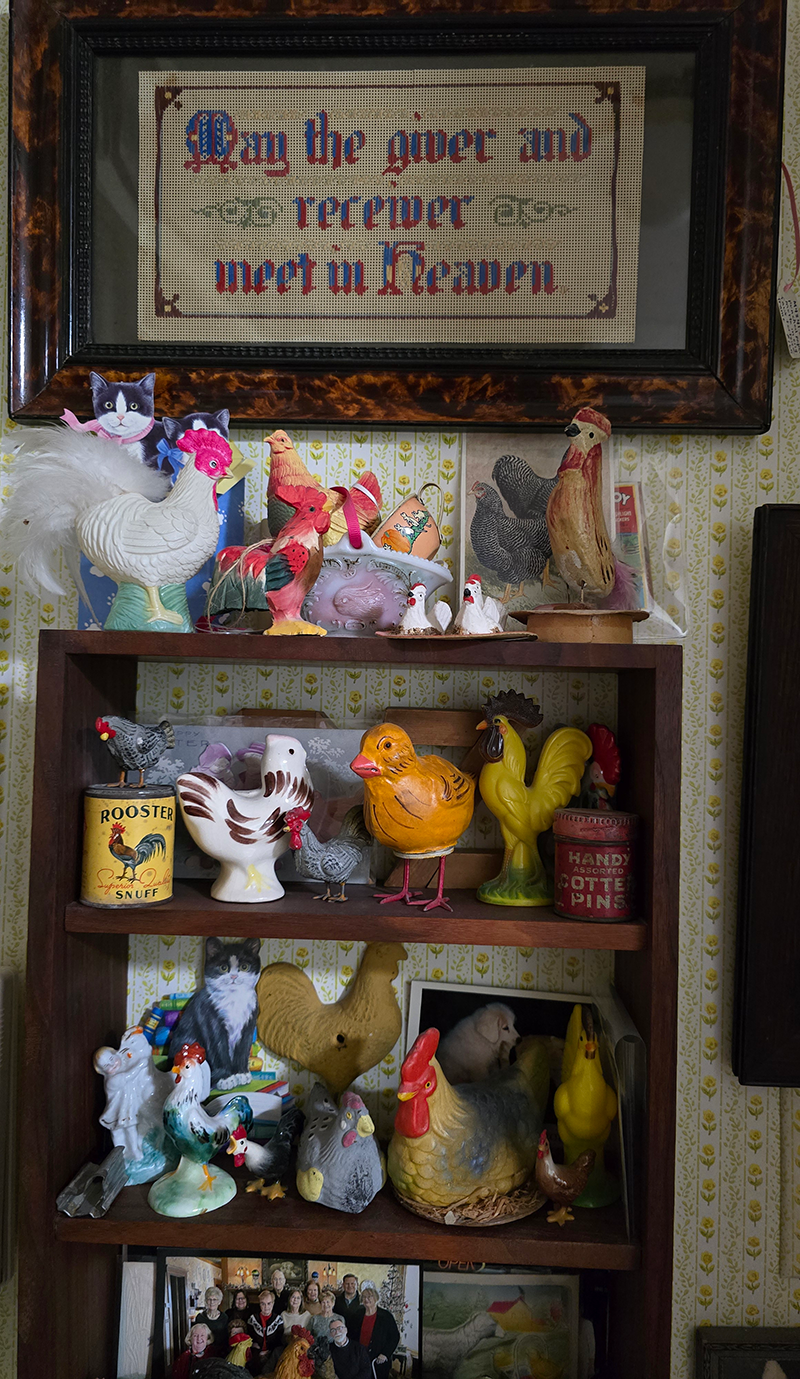 Hat and bomber jacket 